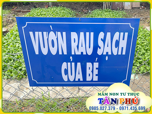 Vườn của bé
